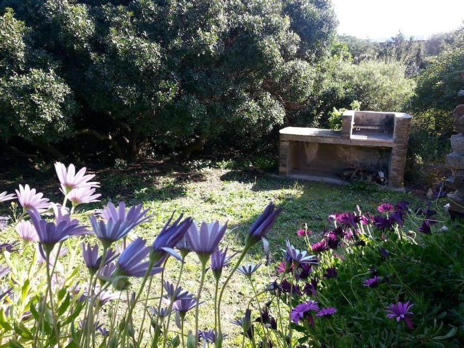 L' Elicriso, A Pochi Passi Dal Mare Con Giardino Privato - The Elicriso, A Few Meters From The Sea, With Private Garden Stintino Exterior foto
