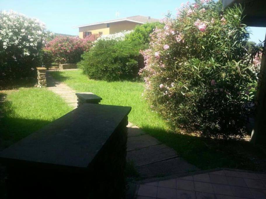 L' Elicriso, A Pochi Passi Dal Mare Con Giardino Privato - The Elicriso, A Few Meters From The Sea, With Private Garden Stintino Exterior foto