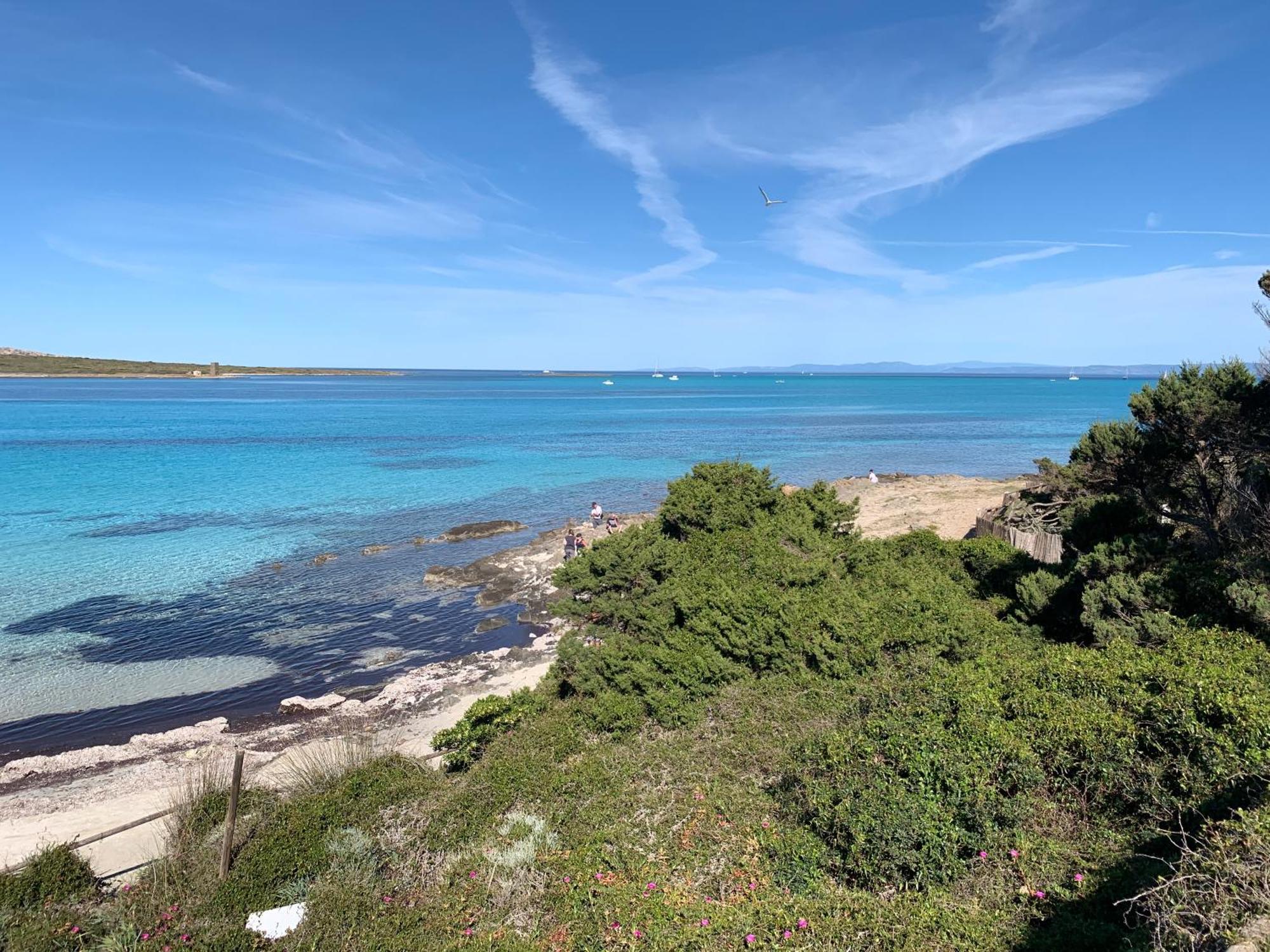 L' Elicriso, A Pochi Passi Dal Mare Con Giardino Privato - The Elicriso, A Few Meters From The Sea, With Private Garden Stintino Exterior foto